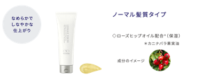なめらかでしなやかな仕上がり ヘアメインテナンストリートメント N ノーマル髪質タイプ ローズヒップオイル配合(保湿) カニナバラ果実油