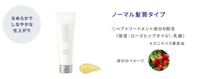 なめらかでしなやかな仕上がり ヘアメインテナンストリートメント N ノーマル髪質タイプ ヘアトリートメント成分N配合(保湿:ローズヒップオイル*、乳酸) *カニナバラ果実油