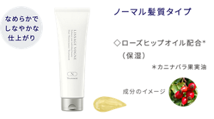 なめらかでしなやかな仕上がり ヘアメインテナンストリートメント N ノーマル髪質タイプ ローズヒップオイル配合(保湿) カニナバラ果実油