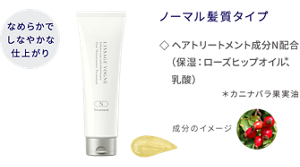 なめらかでしなやかな仕上がり ヘアメインテナンストリートメント N ノーマル髪質タイプ ヘアトリートメント成分N配合(保湿:ローズヒップオイル*、乳酸) *カニナバラ果実油