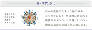 髪・頭皮 浄化 毛髪からのカルシウム洗浄のイメージ図 日々の洗髪でたまった髪の中のゴワつきのもと(水道水に含まれる不要なカルシウム)や落としにくい頭皮の居座り皮脂を洗い出します。
