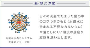 髪・頭皮 浄化 毛髪からのカルシウム洗浄のイメージ図 日々の洗髪でたまった髪の中のゴワつきのもと(水道水に含まれる不要なカルシウム)や落としにくい頭皮の居座り皮脂を洗い出します。