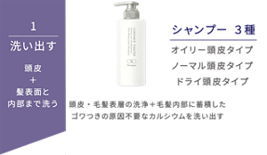 1洗い出すシャンプー 頭皮+髪表面と内部まで洗う 頭皮・毛髪表層の洗浄+毛髪内部に蓄積したゴワつきの原因 不要なカルシウムを洗い出す シャンプー3種 オイリー頭皮タイプ ノーマル頭皮タイプ ドライ頭皮タイプ