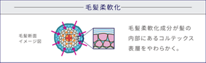 毛髪柔軟化 毛髪断面イメージ図 毛髪柔軟化成分が髪の内部にあるコルテックス表層をやわらかく。