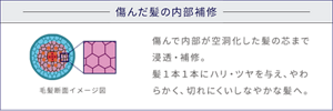 傷んだ髪の内部補修 毛髪断面イメージ図 傷んで内部が空洞化した髪の芯まで浸透・補修。 髪一本一本にハリ・ツヤを与え、やわらかく、切れにくいしなやかな髪へ。