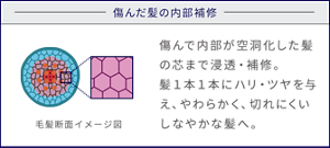 傷んだ髪の内部補修 毛髪断面イメージ図 傷んで内部が空洞化した髪の芯まで浸透・補修。 髪一本一本にハリ・ツヤを与え、やわらかく、切れにくいしなやかな髪へ。