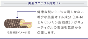 美髪プロテクト処方EX 毛髪断面イメージ図 健康な髪に0.1%未満しかない希少な美髪オイル成分(18‐MEA(ラノリン脂肪酸))がキューティクルの表面を乾燥から保護します。