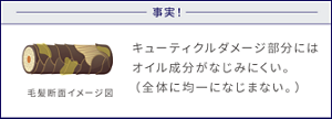 事実! キューティクルダメージ部分にはオイル成分がなじみにくい(全体に均一になじまない) 毛髪断面イメージ図