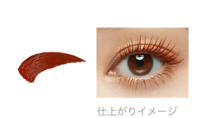 BR-1 オレンジブラウン系 仕上がりイメージ