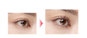 素まつ毛 Before ラッシュマキシマイザー ロングアップ+ラッシュバースト BK-1 仕上がりイメージ