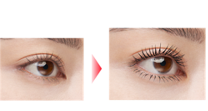素まつ毛 Before ラッシュマキシマイザーZ+ラッシュバースト BK-1 仕上がりイメージ