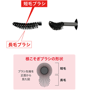 短毛ブラシ 長毛ブラシ 根こそぎブラシの形状 ブラシ先端を正面から見た図 短毛 長毛