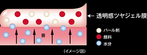 透明感ツヤジェル膜  唇 パール剤 顔料 水分 〈イメージ図〉