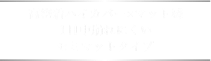高密着ハイカバー×マット感 1日中崩れにくい セミマットタイプ