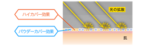 ハイカバー効果 パウダーカバー効果 〈肌上の塗膜イメージ図〉