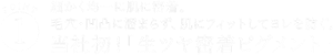 POINT1 細かく均一に肌に密着。毛穴・凹凸に溜まらず、肌にフィットしてヨレを防ぐ。当社初!「生ツヤ密着ピグメント」