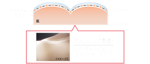 アクアコートジュレ ムーンライトパール カバー粉体 〈イメージ〉 ジュレリンク設計 アクアコートジュレがネットワークを形成