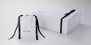Verfügbare Geschenkverpackungsoptionen. Ein weißer Geschenkkarton mit schwarzem Band oder ein weißer Beutel mit schwarzen Bändern