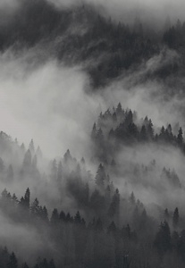 SENSAI Japan Nature image