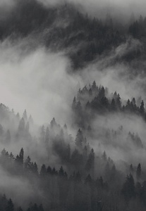 Ein Imagefilm beginnt mit einem Wassertropfen, zeigt einen Bach, einen japanischen Garten und endet mit Landschaftsbildern.