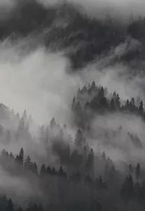 Still-Image_Mobile-min