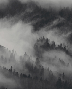 Ein Imagefilm beginnt mit einem Wassertropfen, zeigt einen Bach, einen japanischen Garten und endet mit Landschaftsbildern.