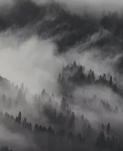 Still-Image_Tablet-min