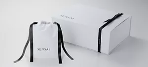 Verfügbare Geschenkverpackungsoptionen. Ein weißer Geschenkkarton mit schwarzem Band oder ein weißer Beutel mit schwarzen Bändern