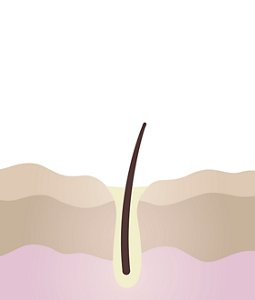 illust_before_DM_SS19new