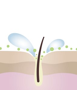 illust_step1_DC_SS19new