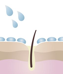 illust_step1_DM_SS19new