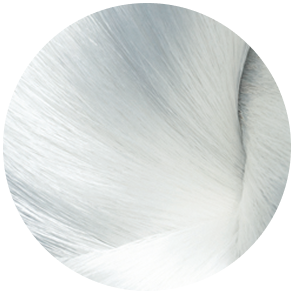 Close-up of a Koishimaru Silk bundle with smooth, silvery lustre