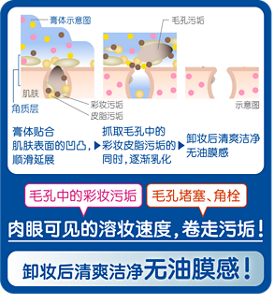 膏体示意图 毛孔污垢 肌肤 角质层 彩妆污垢 皮脂污垢 示意图 膏体贴合肌肤表面的凹凸,顺滑延展 抓取毛孔中的彩妆皮脂污垢的同时,逐渐乳化 卸妆后清爽洁净无油膜感 毛孔中的彩妆污垢 毛孔堵塞、角栓 肉眼可见的溶妆速度,卷走污垢! 卸妆后清爽洁净无油膜感!