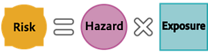 Image diagram of the risk assessment of chemical substances. Risk of a chemicals is assessed by the hazard of the chemicals and the exposure to the chemicals.