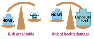 Image diagram of the relationship between non-toxic dose and exposure dose in risk assessment of chemical substances. The risk of chemicals varies depending on the exposure if the NOAEL (no observed adverse effect level) is the same.