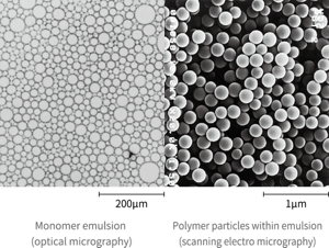 Left is a photo of optical micrography of monomer emulsion. Right is a photo of scanning electro micrography of polymer particles within emulsion.