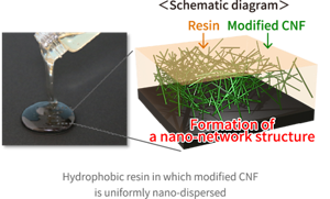 Image diagram of hydrophobic resin in which modified CNF is uniformly nano-dispersed.