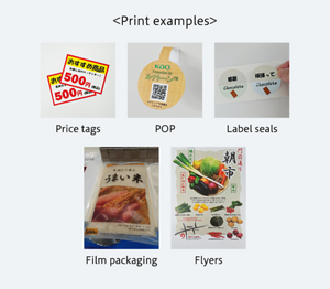 lunatone_print_ex_1_en