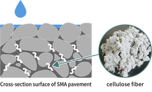 Cross-section surface of SMA pavement, cellulose fiber