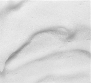 toiletries-and-pharmaceutical02