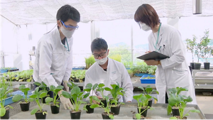 花王の研究開発イメージ