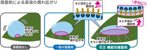 展着剤による薬液の塗れ拡がり