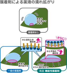 展着剤による薬液の塗れ拡がり