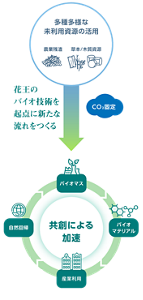 bio_02_sp