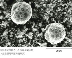豆乳中に分散された豆腐用凝固剤の走査型電子顕微鏡写真。