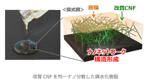 改質CNFを均一ナノ分散した疎水化樹脂のイメージ図。