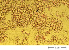 二重乳化エマルションタイプのマーガリン(光学顕微鏡写真例)