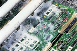 二重乳化エマルションタイプのマーガリン(光学顕微鏡写真例)