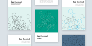 Digital catalogs