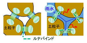 団粒化メカニズムイメージ